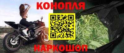 винт Аргун